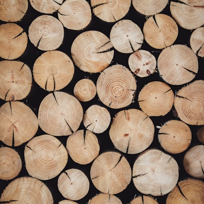 Pulpe de bois, matière première TENCEL™